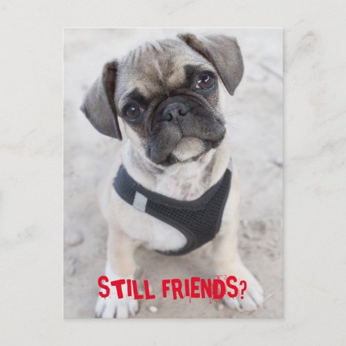 French Bulldog puppy looking cute Postcard