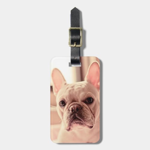 French Bulldog Puppy Luggage Tag