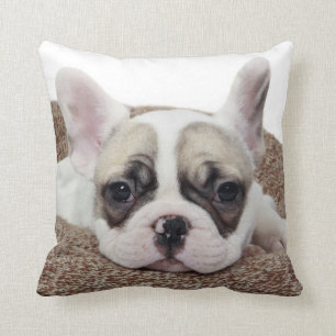 French Bulldog Puppy Lying In A Dog Bed Throw Pillow