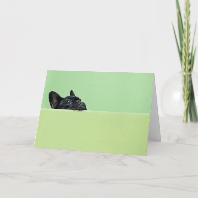 French Bulldog Puppy Peering Over Wall Card (Front)