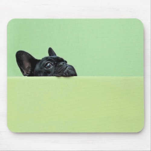 French Bulldog Puppy Peering Over Wall Mouse Pad