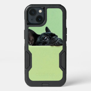 French Bulldog Puppy Peering Over Wall iPhone 13 Case