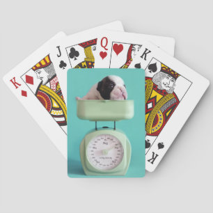 French Bulldog Puppy Poker Cards