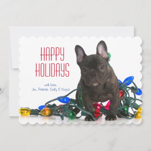 French Bulldog Puppy Tangled In Lights Holiday Card