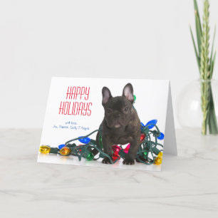 French Bulldog Puppy Tangled In Lights Holiday Card
