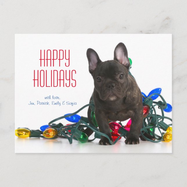 French Bulldog Puppy Tangled In Lights Holiday Postcard (Front)