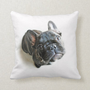 French Bulldog Puppy Throw Pillow