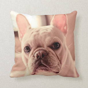 French Bulldog Puppy Throw Pillow