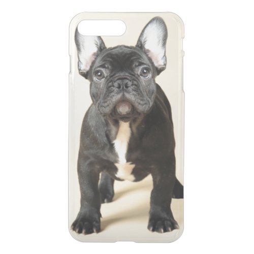 French Bulldog Puppy iPhone 8 Plus7 Plus Case