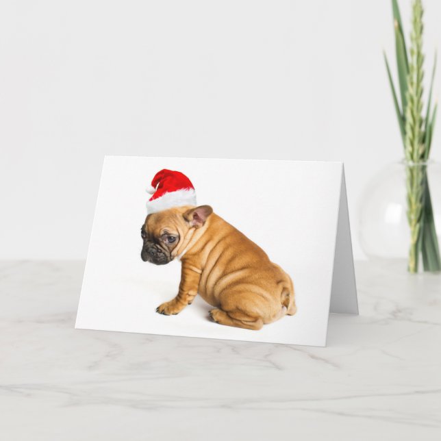 French bulldog puppy wearing a Santa Claus hat Holiday Card (Front)