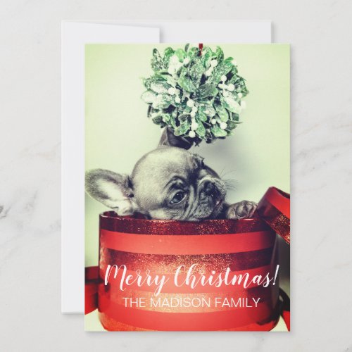 French Bulldog Puppy With Mistletoe In Gift Box Holiday Card