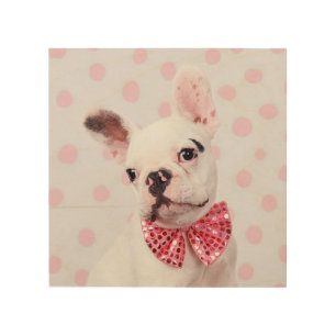 French Bulldog Puppy With Polka Dots Wood Wall Art