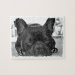 French Bulldog Puzzle