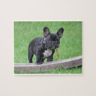 French Bulldog Puzzle