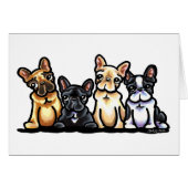 French Bulldog Quartet (Front Horizontal)
