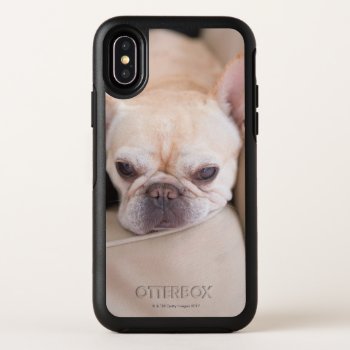 French Bulldog Resting On Sofa Otterbox Symmetry Iphone X Case by prophoto at Zazzle