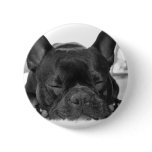 French Bulldog Round Button