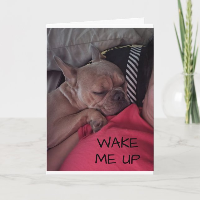 "FRENCH BULLDOG" SAYS HAPPY ANNIVERSARY WITH LOVE CARD (Front)