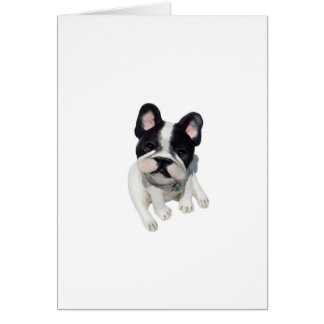 French Bulldog Sculpture Cards