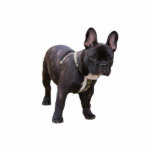 French Bulldog sculpture, gift idea Cutout<br><div class="desc">Cute little black french bulldog sculpture.  great gift idea for dog lovers,  kids,  children</div>
