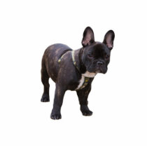 French Bulldog sculpture, gift idea Cutout French Bulldog sculpture, gift idea Cutout