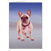 French Bulldog Sitting On beach (Front)