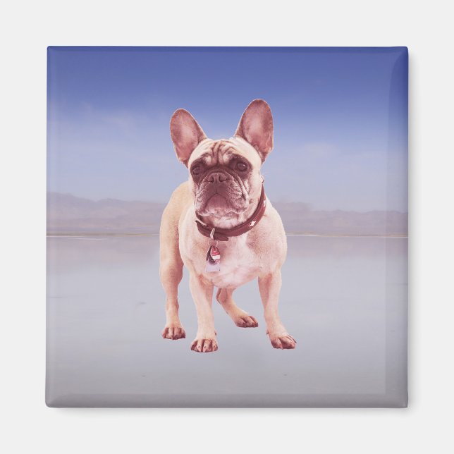 French Bulldog Sitting On beach Magnet (Front)
