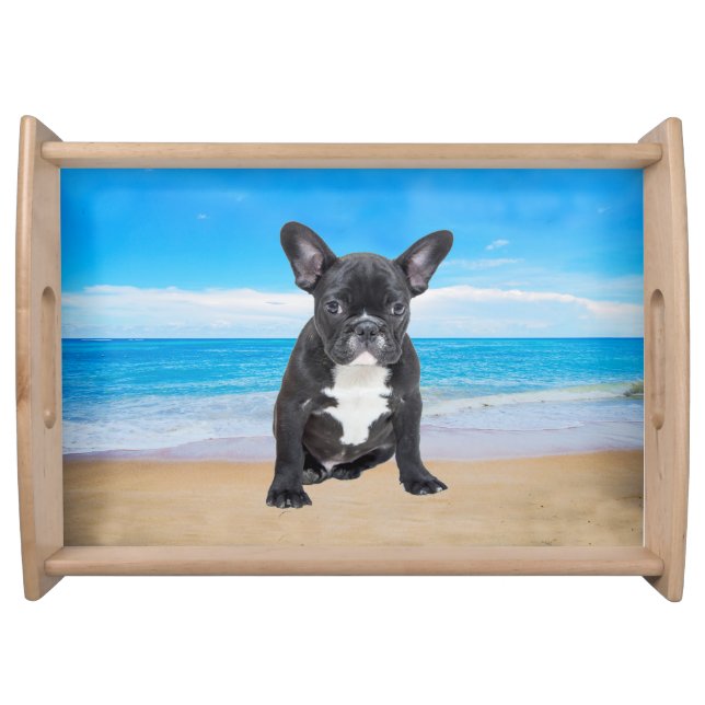 French Bulldog Sitting On Beach Serving Tray (Front)