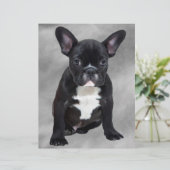 French Bulldog Sitting Watercolor Oil Painting (Standing Front)