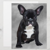 French Bulldog Sitting Watercolor Oil Painting (Front/Back)
