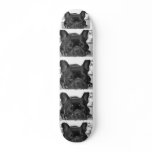 French Bulldog Skateboard