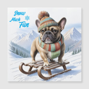 French Bulldog sled French Bulldog