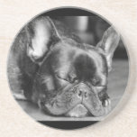 French Bulldog Sleeping Coaster at Zazzle