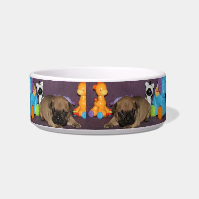 French Bulldog small puppy Bulldog Bowl (Right)