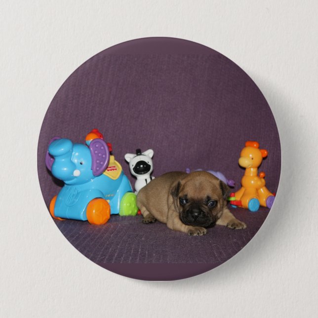 French Bulldog small puppy Bulldog Button (Front)