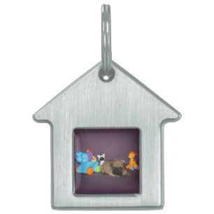 French Bulldog small puppy Bulldog Pet ID Tag