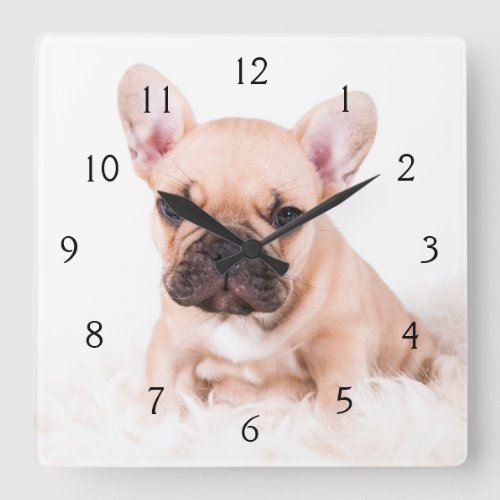 French Bulldog Square Wall Clock