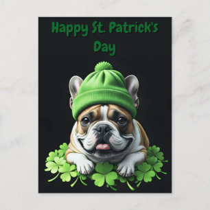 French Bulldog St. Patrick's Day Shamrock Luck Postcard
