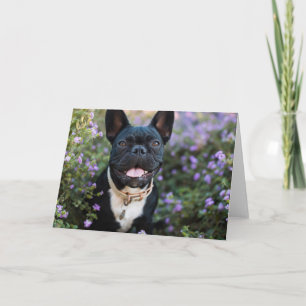 French Bulldog Stands in Flowers Card