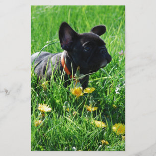 French Bulldog stationery