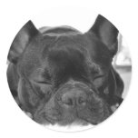 French Bulldog Sticker