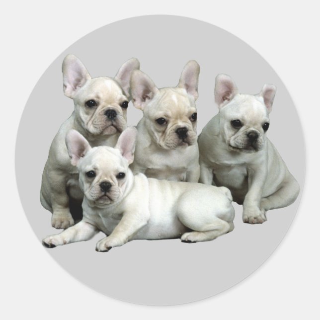 French Bulldog Sticker (Front)