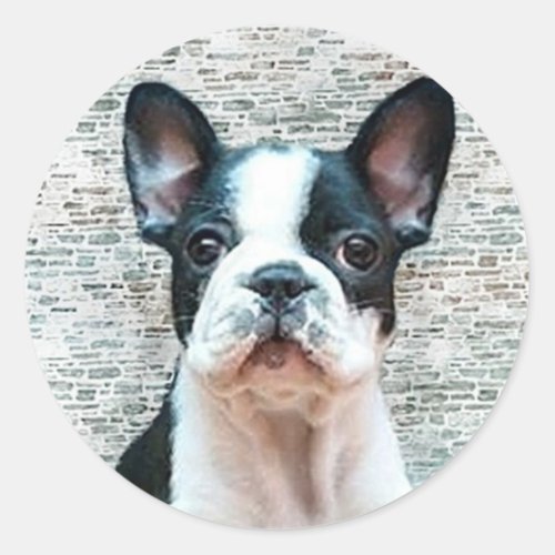 French Bulldog stickers