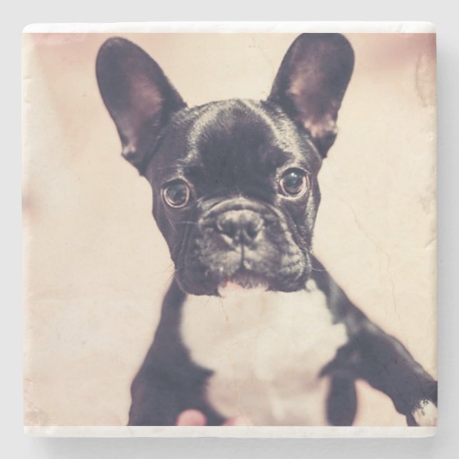 French Bulldog Stone Coaster (Front)