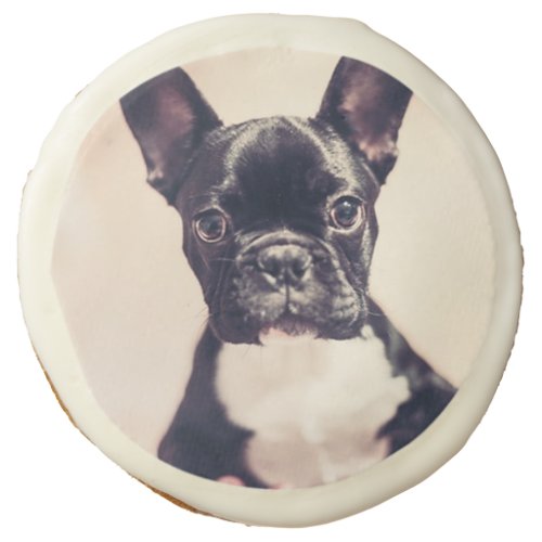 French bulldog sugar cookie