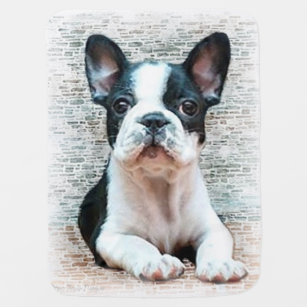 french bulldog baby swaddle