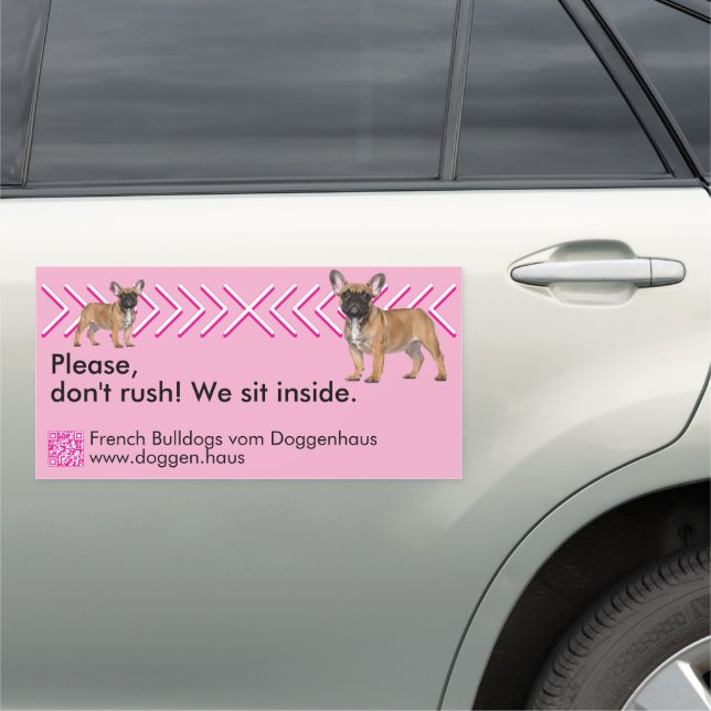 French Bulldog Taxi Car Magnet (In Situ)