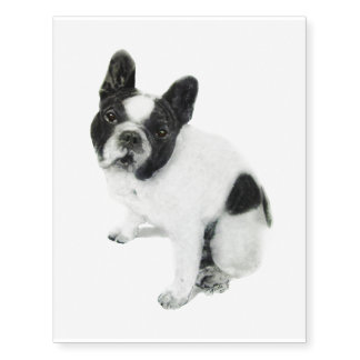 French Bulldog Temporary Tattoos