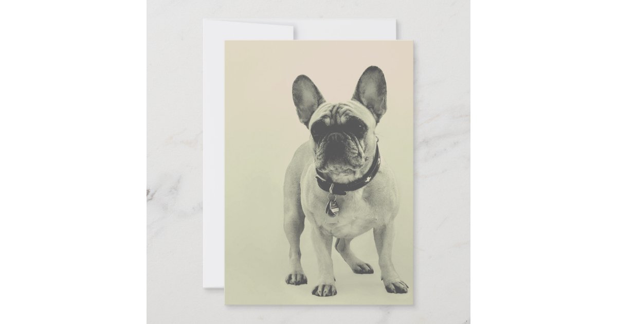French bulldog thank you card | Zazzle