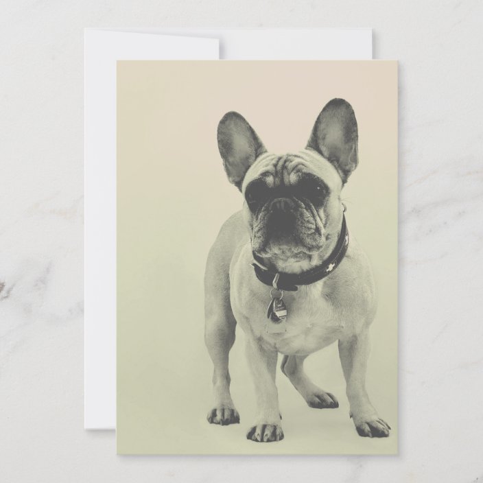 French Bulldog Thank You Card | Zazzle.com